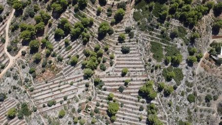 🌿 Parcela en Venta en Benissa – 33.673 m² con Vistas al Mar y al Peñón