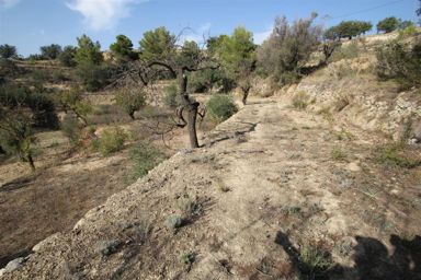 Parcela en Venta en Pinos, Benissa, Alicante