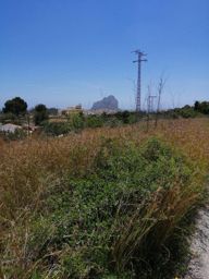 Parcela rústica en Calpe