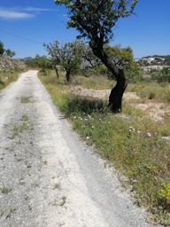 Parcela rústica en Calpe