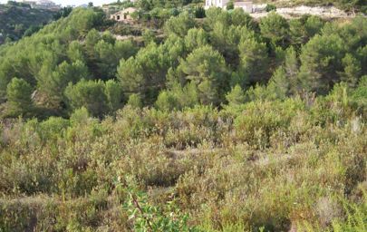 Terreno rural - Benissa