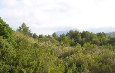 Terreno rural - Benissa