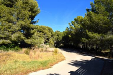 Plot for sale near the village