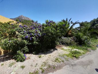 LINGS MARYVILLA
