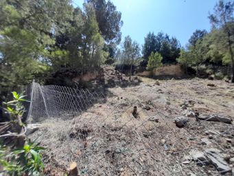 LINGS MARYVILLA