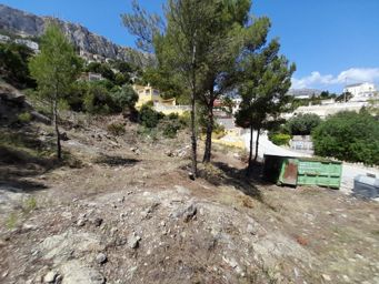 LINGS MARYVILLA