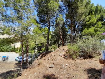 LINGS MARYVILLA