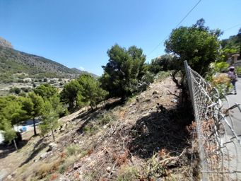 LINGS MARYVILLA