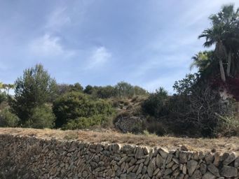 Parcela / Solar (Tosal de La Cometa) 800m2