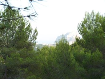 Venta. Parcela rústica en Benissa